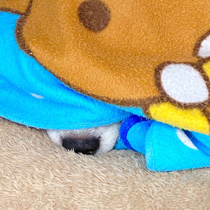 7508ba12 ad5d 4816 a8a8 d0d33a5577d2 1580874056147