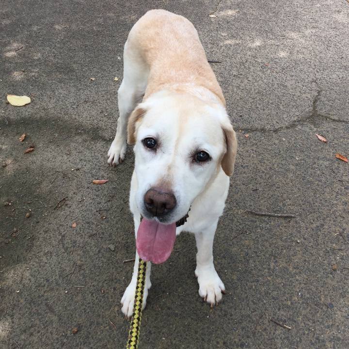 7508cac0 c93c 4d00 bd57 f11ed5d5330f 1565952017091