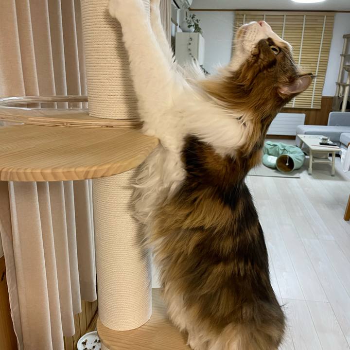 7508e6af 5b7e 4d44 a566 9a0ab6caa9cd 1674387119997