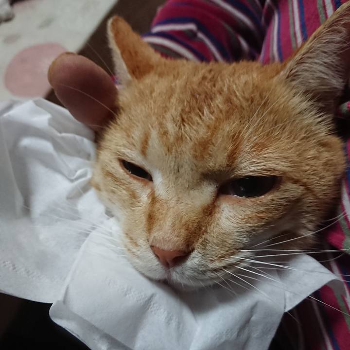 75090d85 8f55 4561 a0f6 dbcc57ac20da 1585304028699