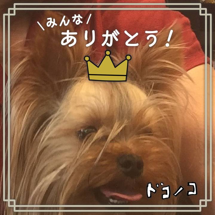 75092b0a bd10 41a7 b692 2b5885ecef5f 1622874009696