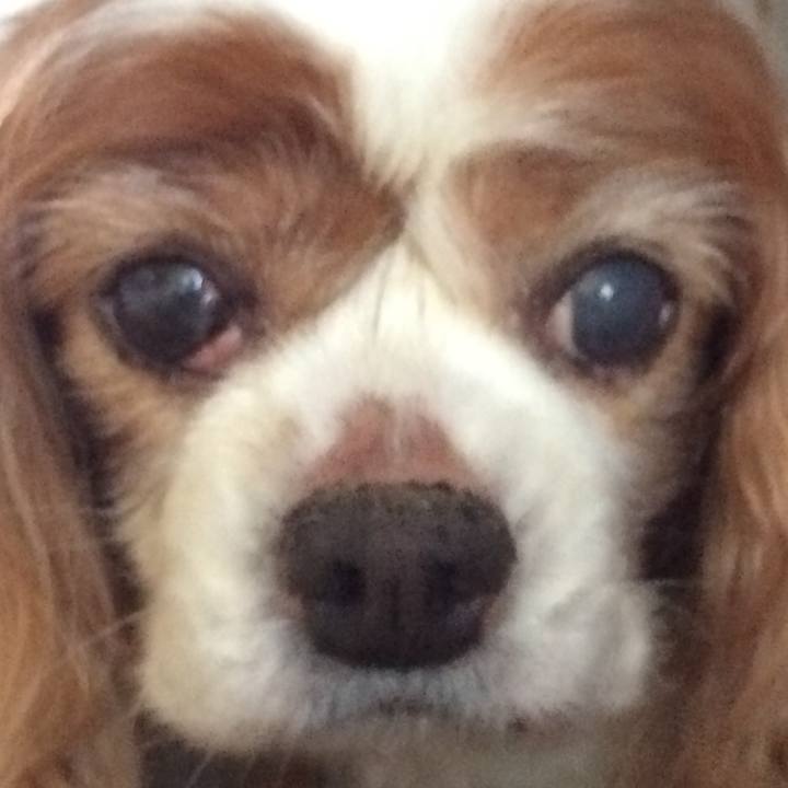 750944c7 6348 403e ab9c e2a10d165672 1516534236219