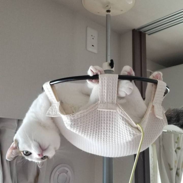 75094e70 477f 49bd 8a07 b0a64c74bad6 1570923891554