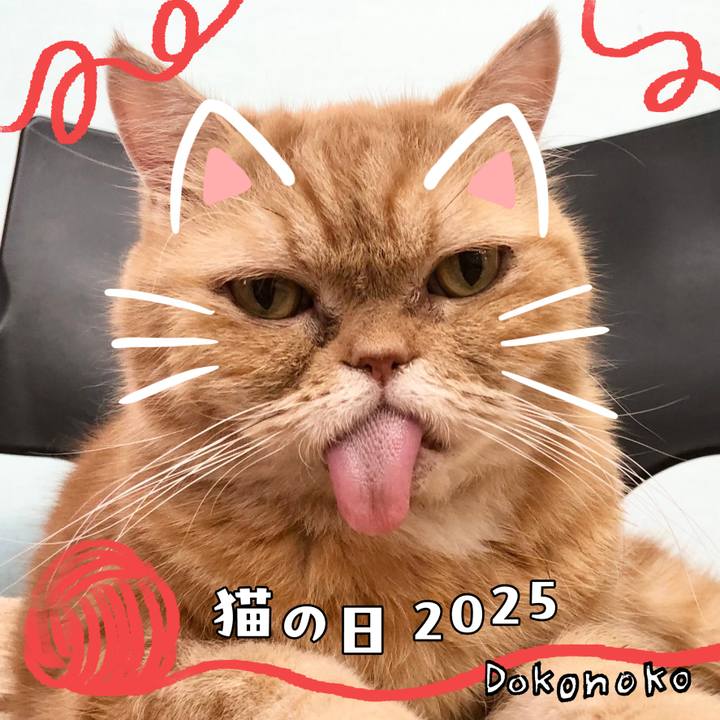 75095f70 0731 49d3 b25d e0acb0614198 1740200922941