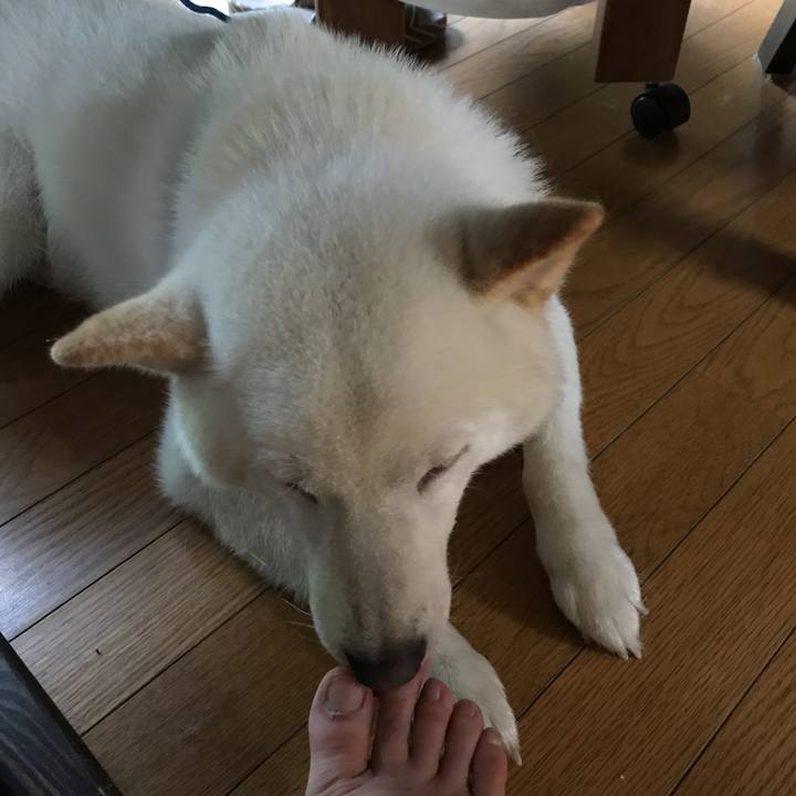 75096df6 95ba 4c2d aeed 4cad03a4f159 1534289667865