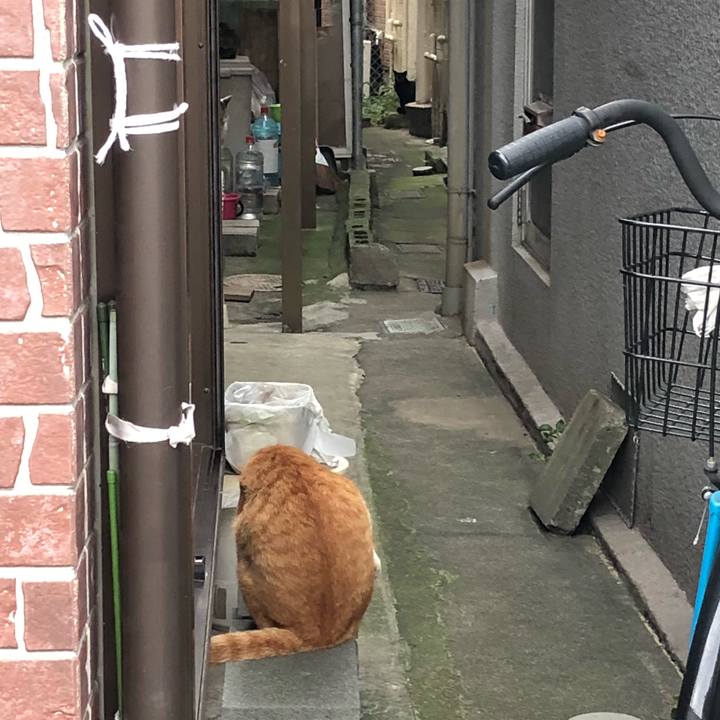 75099172 15b0 4caa 9e8f 6492130f4cc2 1538762548206