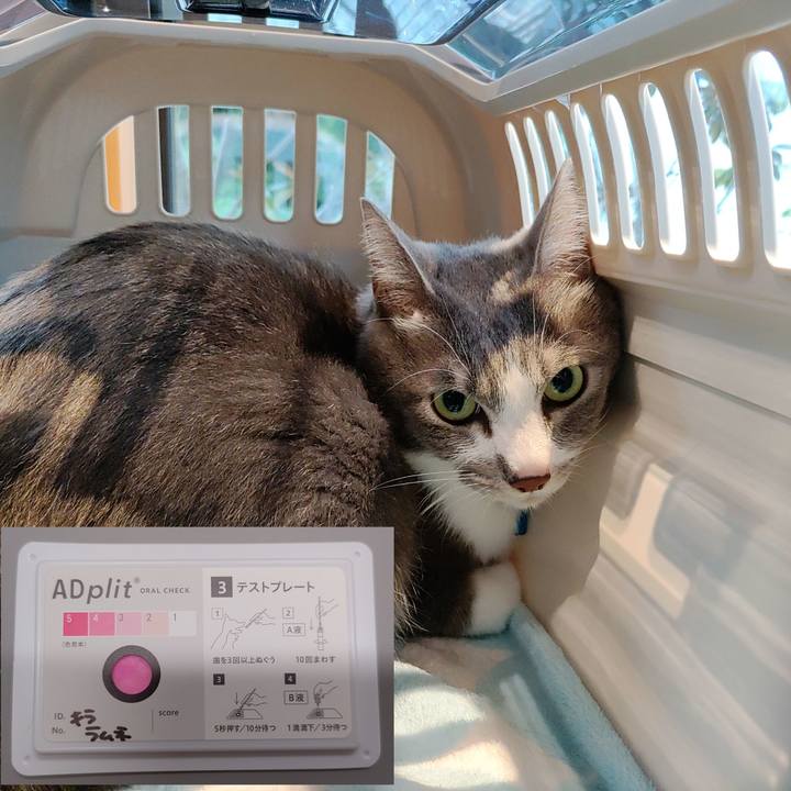 7509a678 eeb5 425e bcfa 7535a3796875 1693648426652