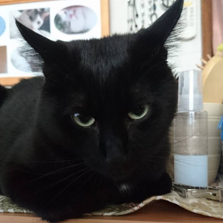 7509f425 e929 49b9 8572 2e781c19719c 1534854350386