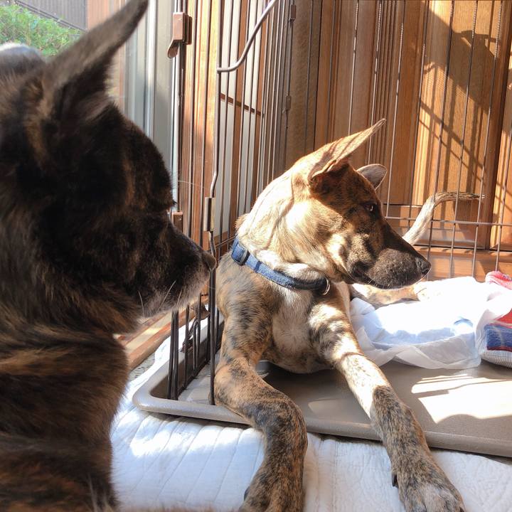 750a626e 2019 48ff 99cc 926bc713ec03 1573273004320