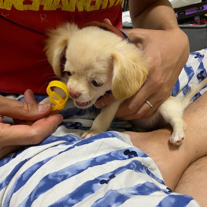 750a8a44 2f8b 4409 824c aaa2d0197c89 1590453091714