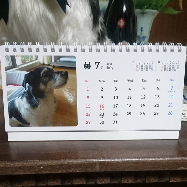 750aecf4 bc3c 4154 8b53 487fab8c81e9 1530452256863