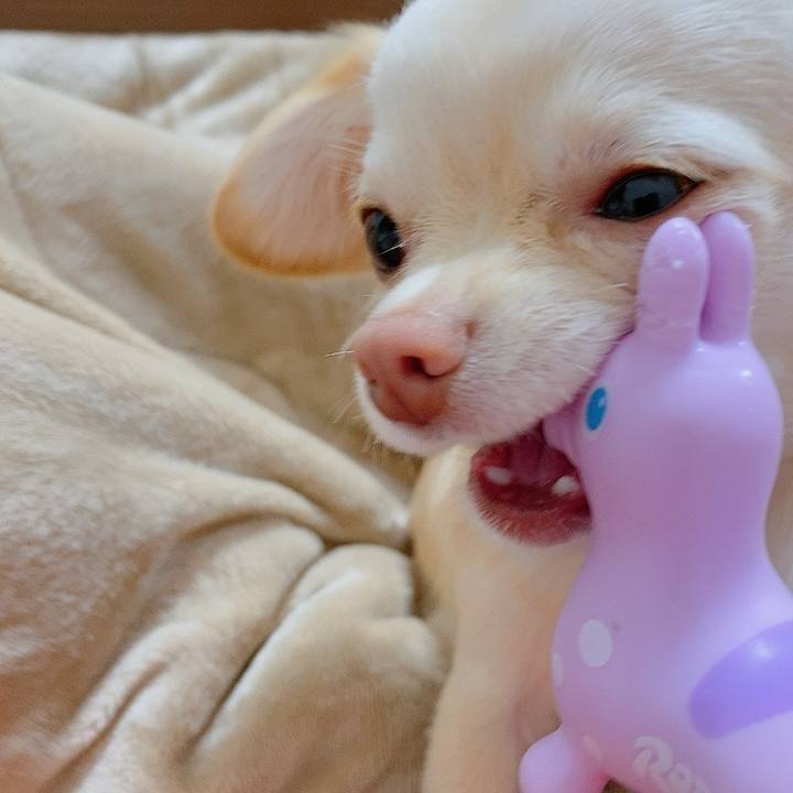 750af257 12d2 45c9 9960 b44c5832f81f 1613690026865