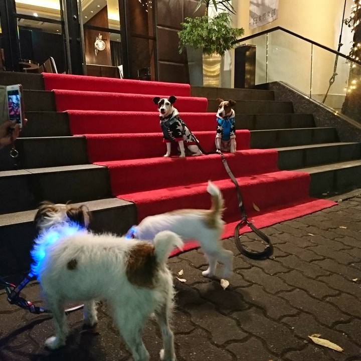 750af3aa 274a 4ec4 a4aa 96fe92609f9a 1543401129351