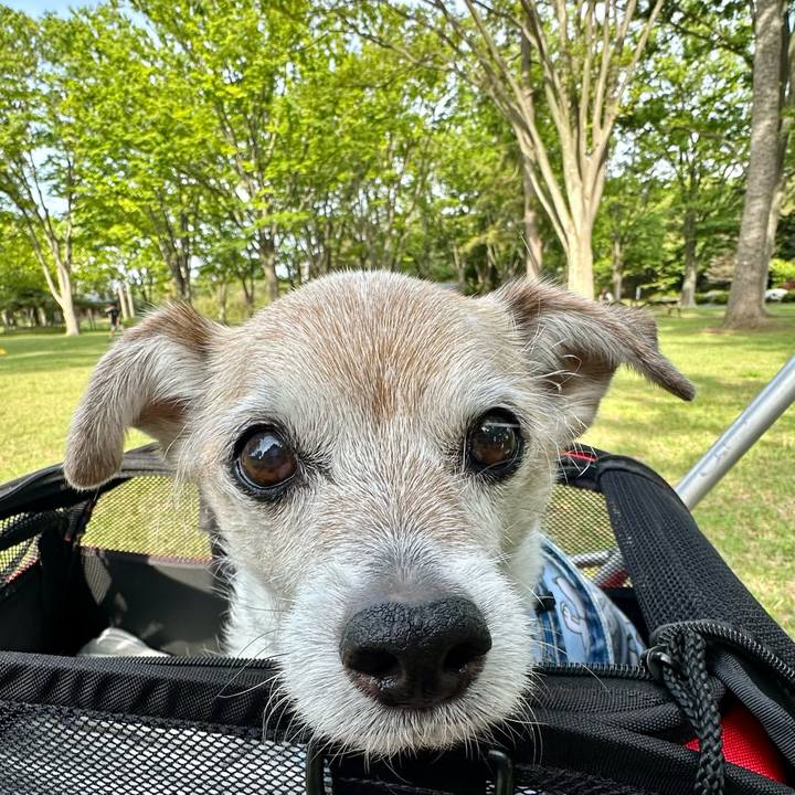 750afcf2 3c8a 4ac1 bfd5 712b61afa6ce 1746094841872