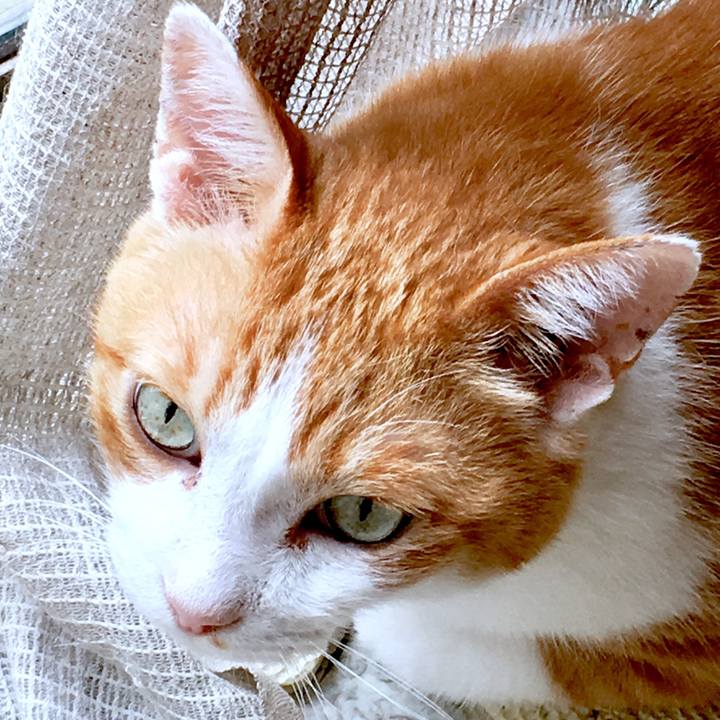 750b0927 3d09 43ba 93a0 53b711bd4888 1566962941134