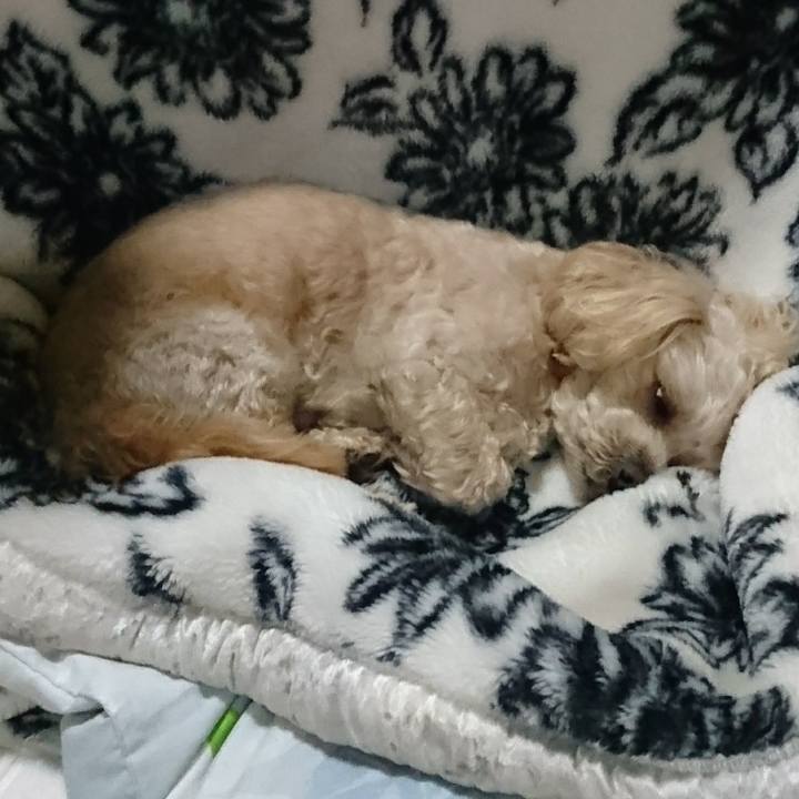 750b097a 4eef 40ff af25 159a635dfa32 1556290048638