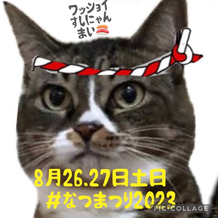 750b3a69 f0d8 4013 a86c 871855dcba02 1692522859810