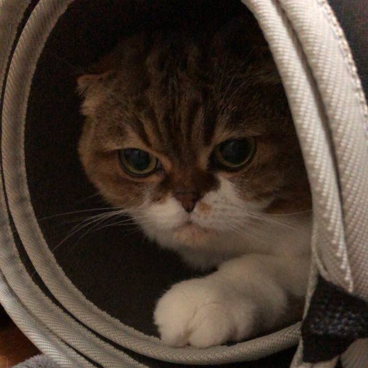 750b5828 ccb2 4c62 a422 f4faf7a75255 1539356709972