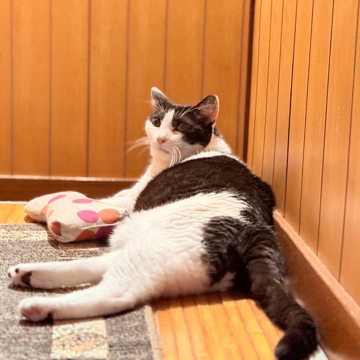 750b94ae caea 4411 8955 bf5ff5a66d73 1757903886635