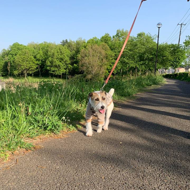 750bea62 e3ed 4b1d 851c 52ae2a0f9082 1682163982094