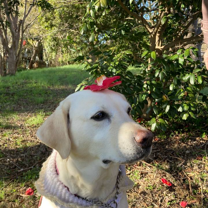 750c41c2 d17b 44d3 ae6e 8b5c4f99fbdf 1709468387492