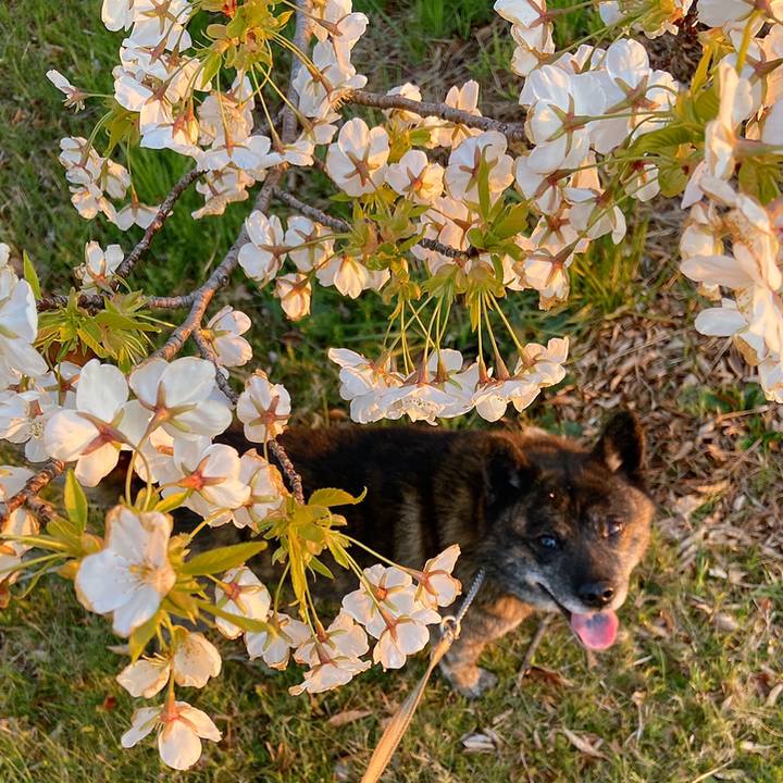 750c7cef cef2 4561 b88b 222648c58f09 1586252571921