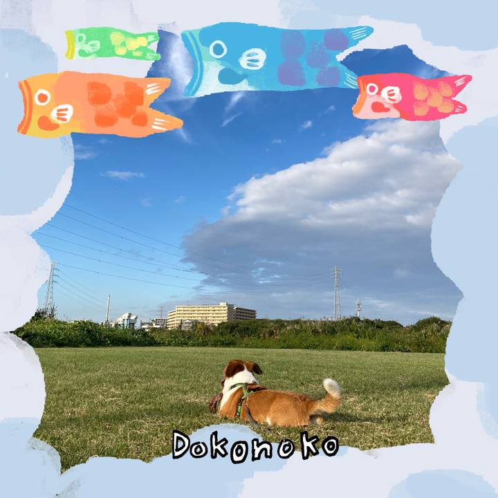 750c8119 1b6f 44ae 9ad6 131e329c7658 1749168865542