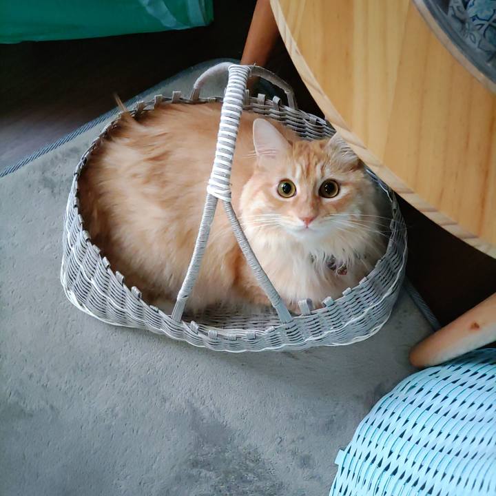 750c98ec 8c14 43a7 80b0 743ba55ab174 1657955030665