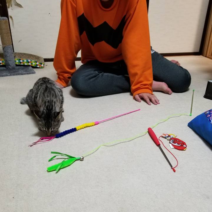 750cd9f4 b081 45e2 950f c9cd24ad986d 1676906632014