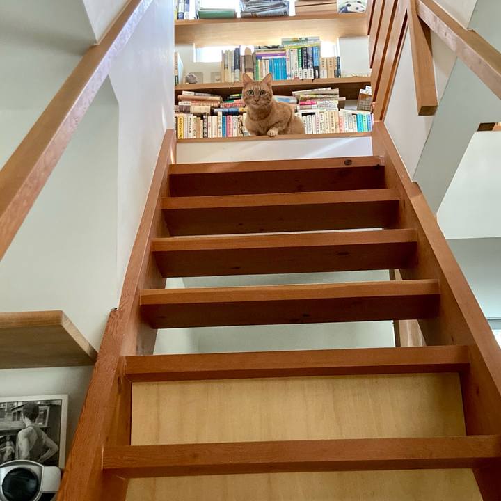 750cdd6a 05cb 4e5f 82f1 21043ce95222 1664087982753