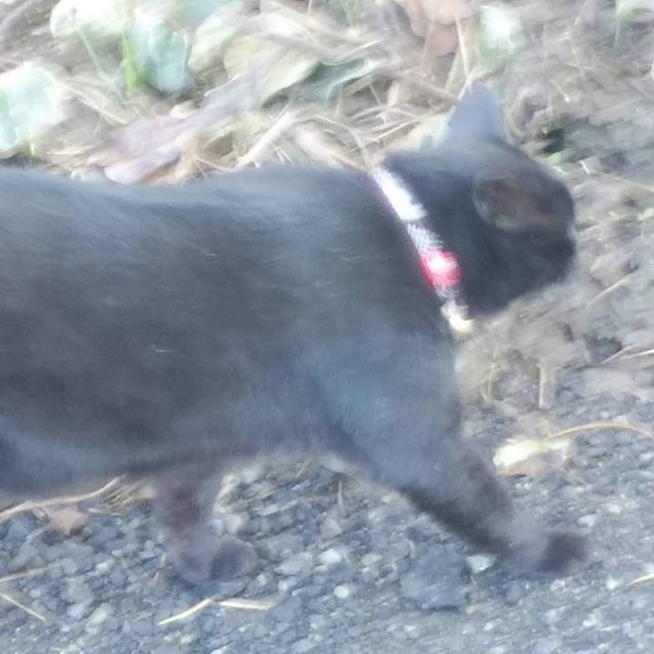 750cf9d0 e31c 4ef5 86c5 f069b3c1aea0 1573516267770