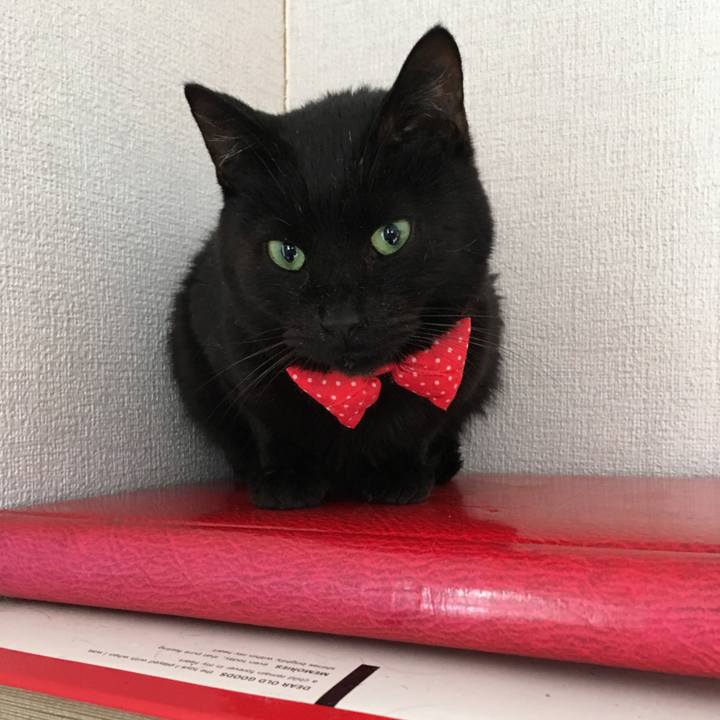 750d0f94 e2f2 4853 87dc f4898634e68f 1551094436865