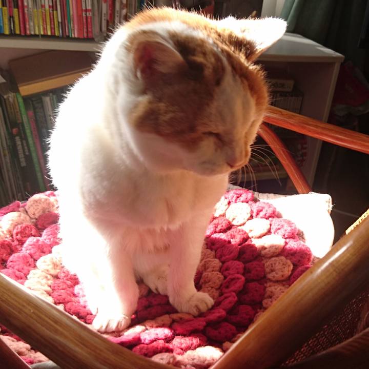 750d5dc4 5f33 4cea a21a d99f649a29e5 1557650342714