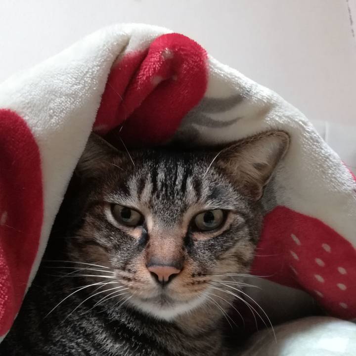 750d60ab 04cc 4eec bbd2 dcd7fe2676b6 1575630531930