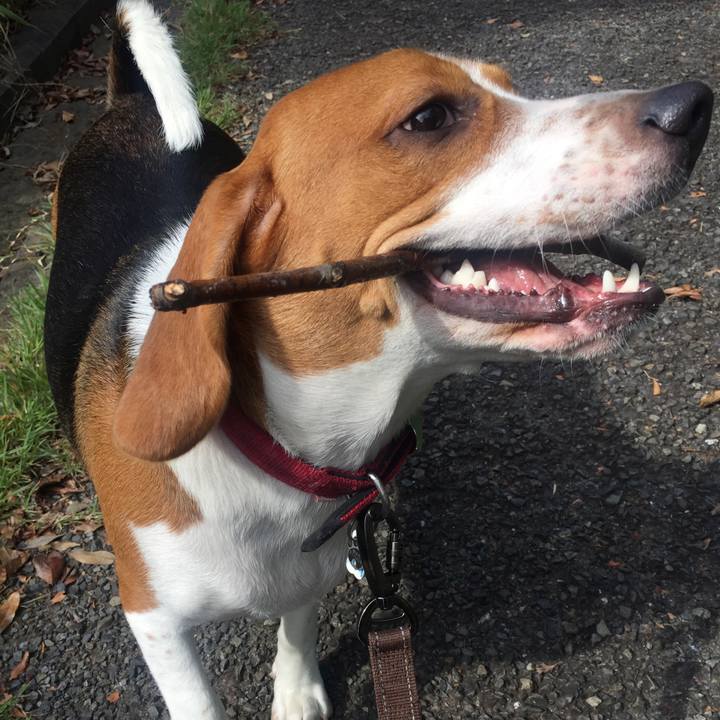 750d7c23 b1c2 4a9b 83ea 842dae985860 1540006960183