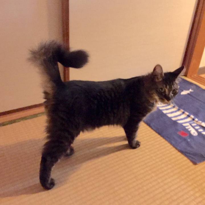 750ddd68 7485 4965 b504 c8576d4490e1 1559473555504