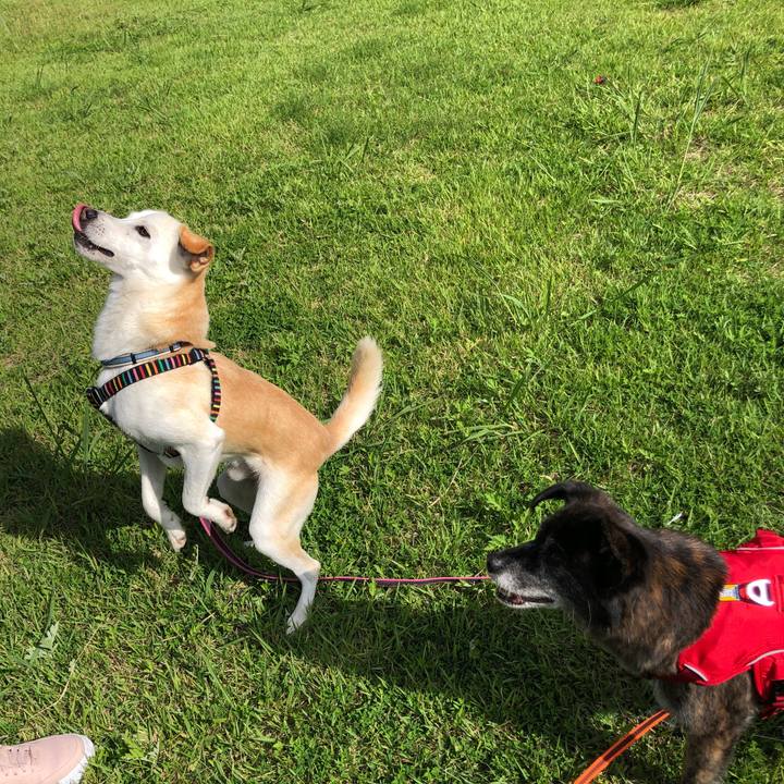 750dedae c0b3 4c39 8f3a eab48b06bc64 1629168477725