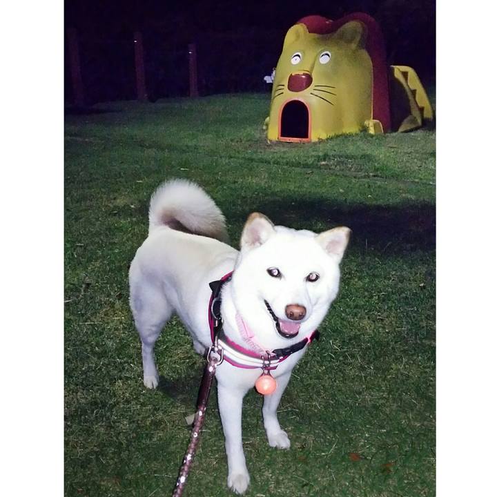 750e1504 c432 43c9 bf90 c2d98cbc9816 1530533876096