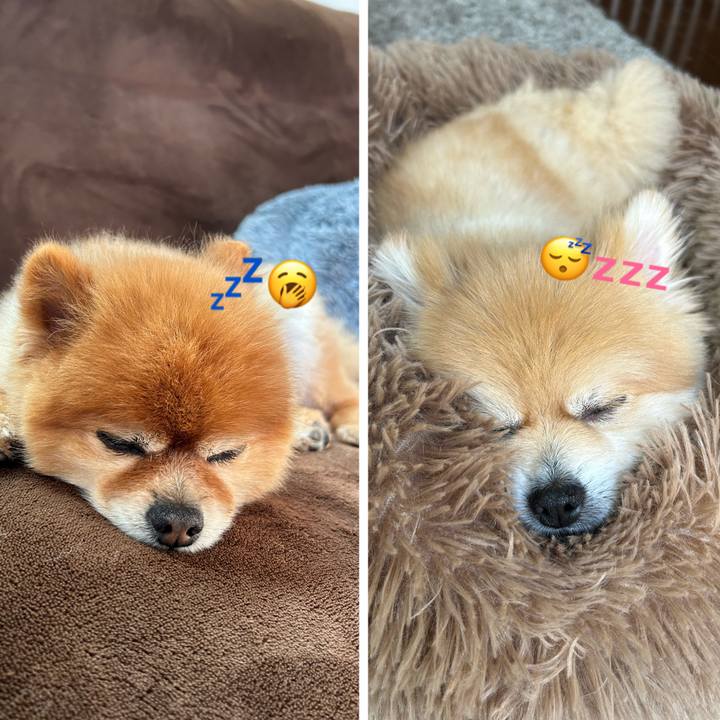 750e2a21 5c50 4561 9072 a96fb5ab3ac9 1681016579174