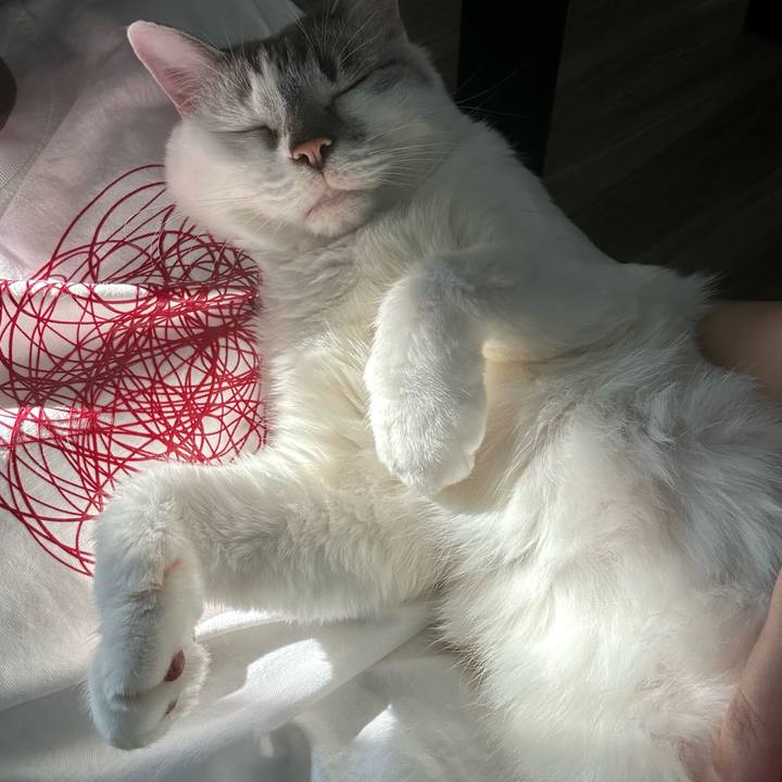 750e82dc 011b 4a3c b0f4 7549d781af91 1717227387206