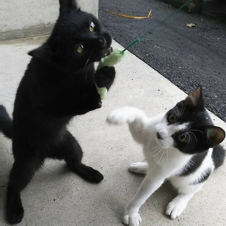 750e84b2 b8e2 4dca a830 eced6f5ad787 1536394367874