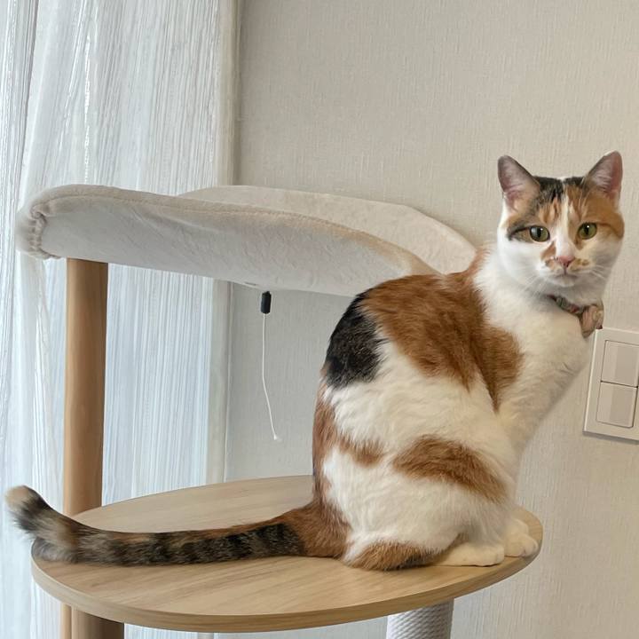 750ee1c9 7b34 4e5b a30f 2962f900c9d1 1640215995859