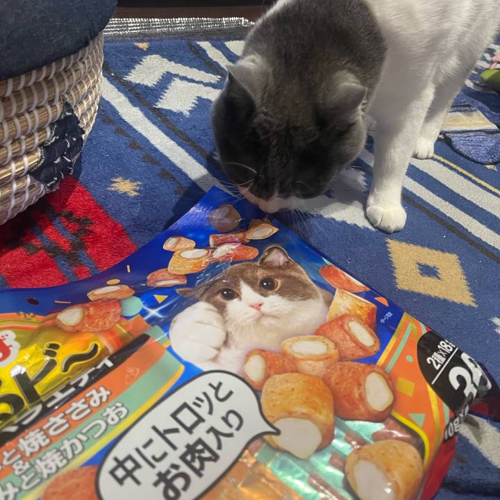 750ef764 b3ff 45b1 94d3 a66dc0ead10d 1686065583541