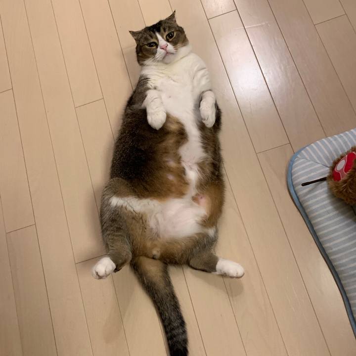 750f1491 0fa7 453e 85e2 24a151575489 1567005741899