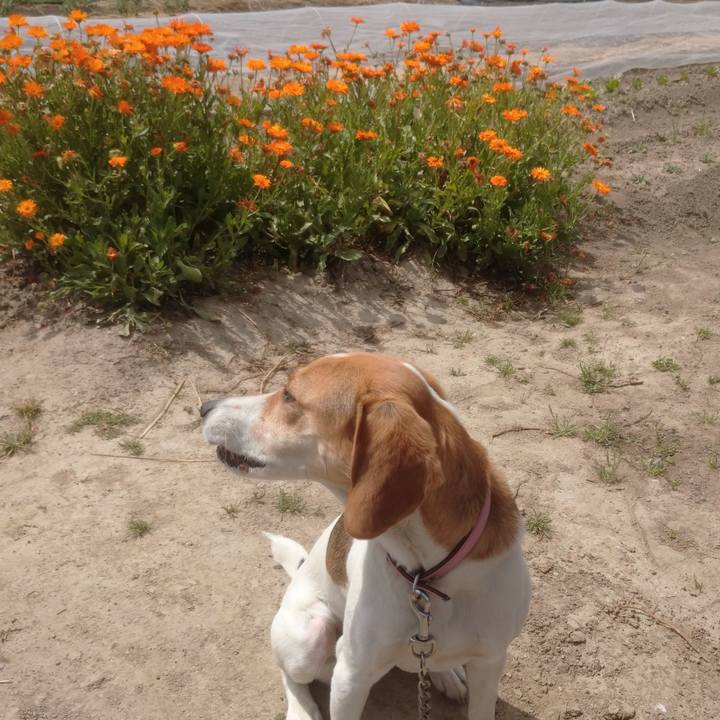 750f5588 0cc4 4dc1 9c38 f541d7d35906 1589276718497