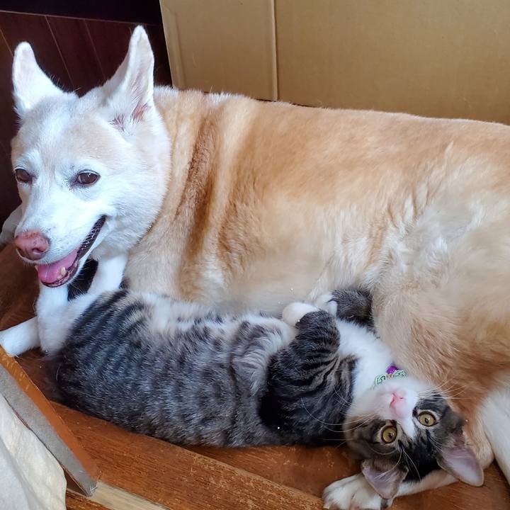 750f5bba 6447 4886 8800 67ccc763dd51 1634907128269