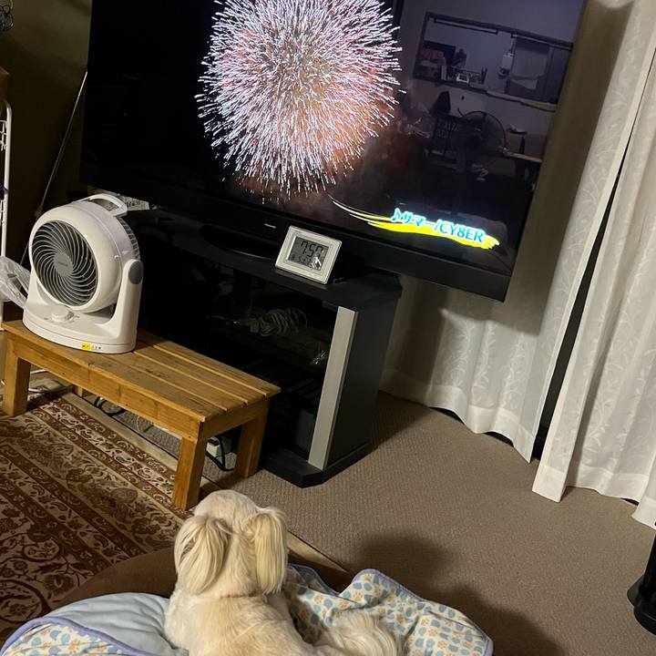 750f88ef 459c 448a a7d6 3de6503b15e0 1691233205061