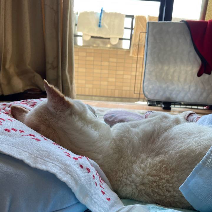 750f9629 0b29 43e1 a07f aacc7e129b75 1682987843198