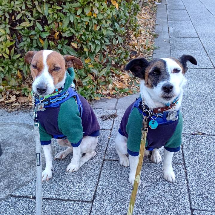 750fa488 42ba 4ff4 98fb f038b46c4637 1642465925953