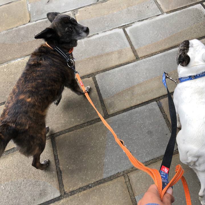 750fab1a cae0 4096 9eb0 00f23138f09f 1615727293240